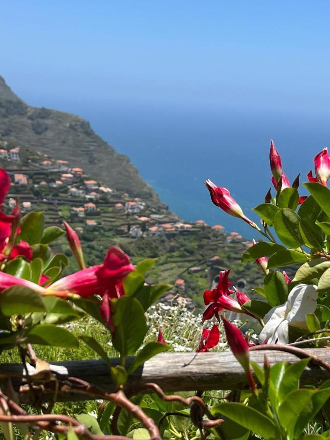 Tropical House Villa Ribeira Brava Buitenkant foto