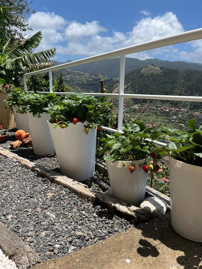 Tropical House Villa Ribeira Brava Buitenkant foto