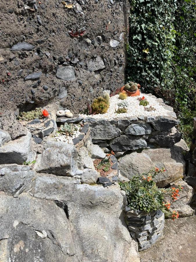 Tropical House Villa Ribeira Brava Buitenkant foto