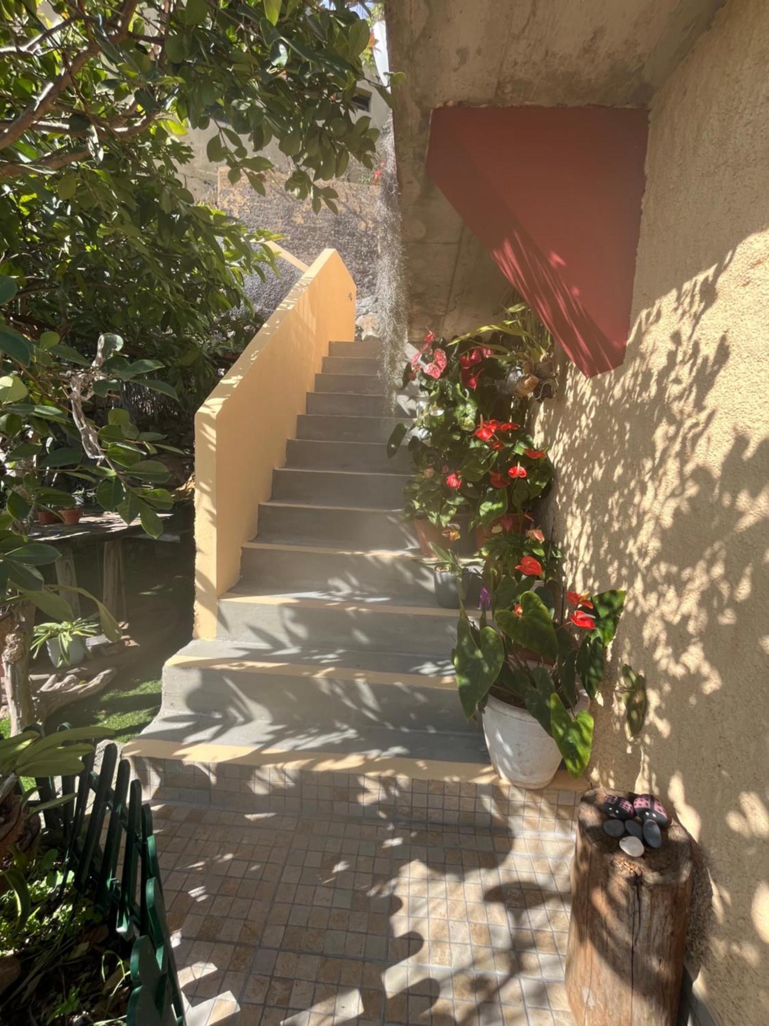 Tropical House Villa Ribeira Brava Buitenkant foto